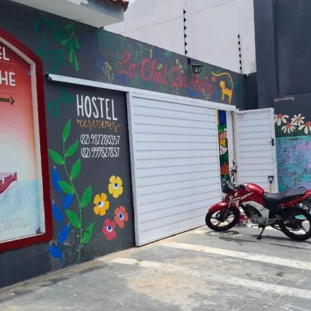 "Le Chat Qui Peche" Hostel A 150 Metros Da Praia De Pajucara Maceió Esterno foto